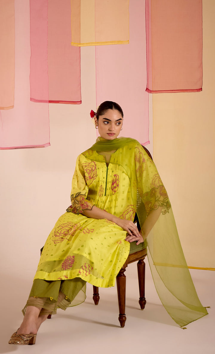 SAMAHAR: Olive Organza Dupatta