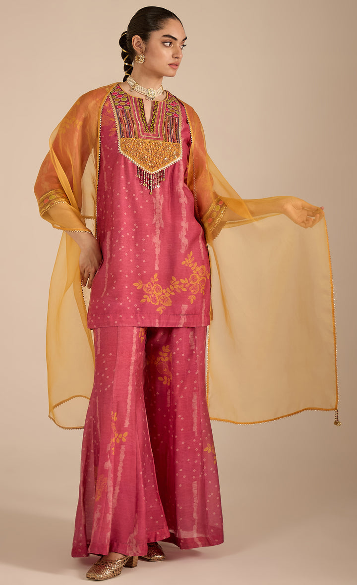 SAMAHAR: Blush Cotton Silk sharara