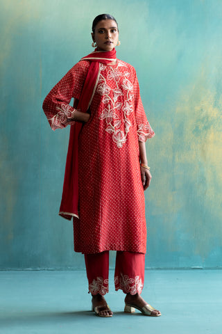 DIL-KASH RED CHANDERI KURTA WITH LONG YOKE FLORAL EMBROIDERY ON POLKA FULL SET OF 3